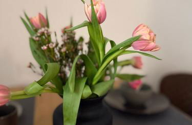 4 sleep Apartments KARL - Foto 10