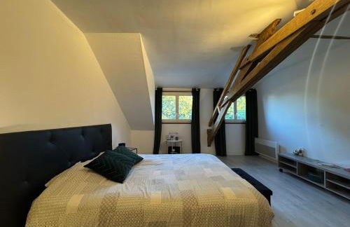 Le Moderne - 6pers - Bugatti Circuit - Zoo - Photo 14