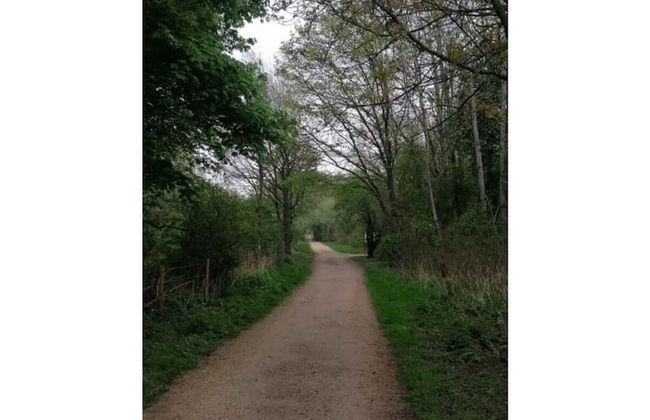 Sunshine Comfortable Holiday Residence - Photo 9