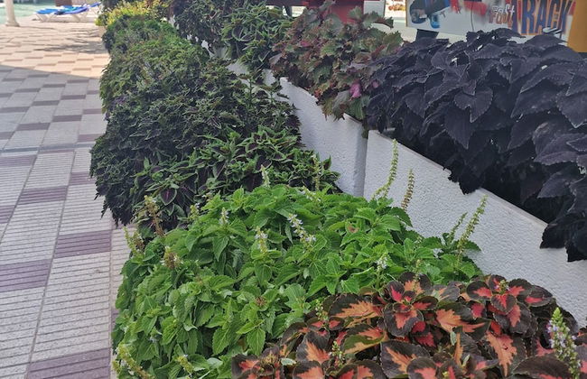 Europa Family Apartments - Photo 29