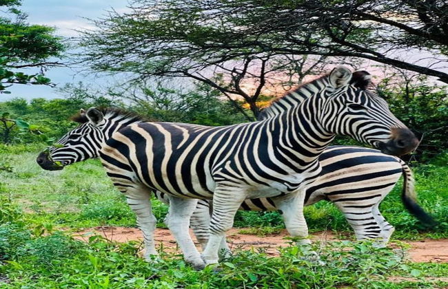 Holiday Home in Hoedspruit With Private Pool - Photo 42