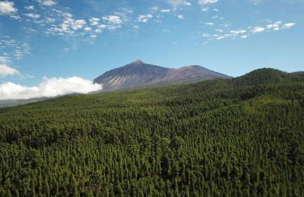 Sea La Vie Tabaiba - Piscina, Parking & Tenis - Foto 46