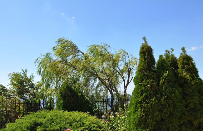 Vrachos Villas - Photo 57