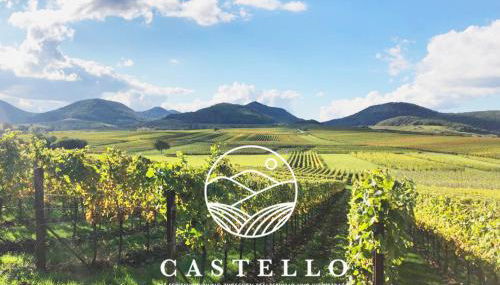 Die Gründerzeitvilla zwischen Weinstrasse und Pfälzer Wald - Foto 5