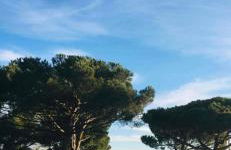 Studio Nala home Andernos avec terrasse, parking privatif, piscine dans résidence , wifi, ménage compris - Foto 23