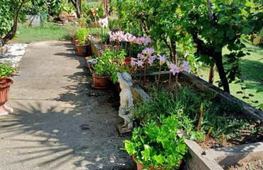 Colle Perazzoni - Foto 49