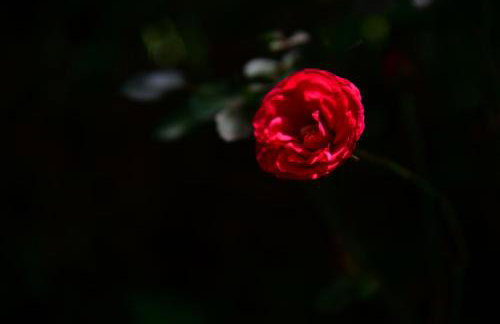 Apartman PLUM PLITVICE - Foto 45