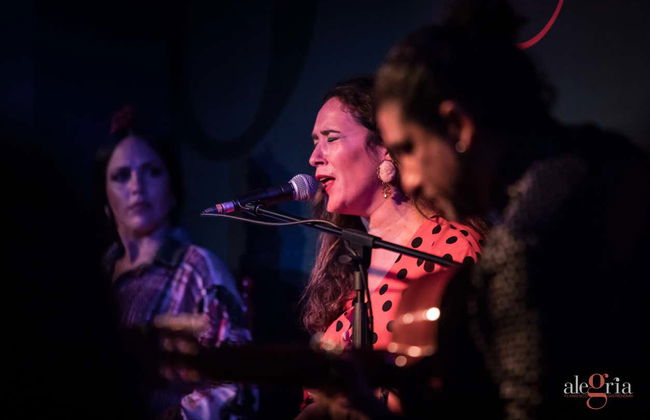 Espetáculo de flamenco no Alegría - Foto 15