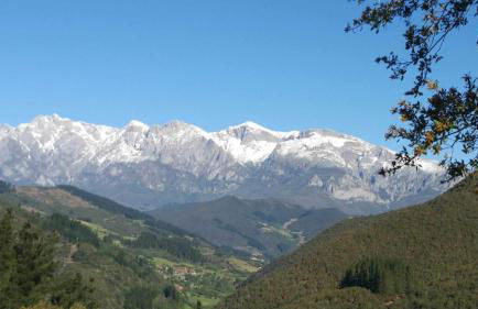 La Hacienda de María - Foto 37