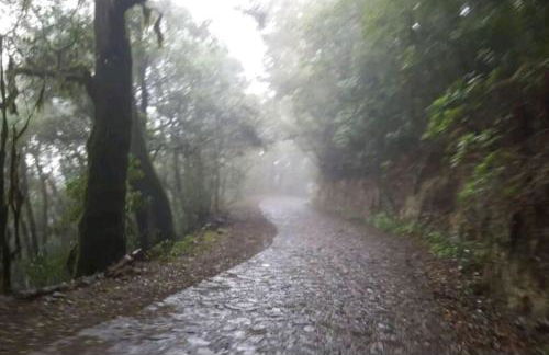 Casa Tajaraste 1 - Foto 32