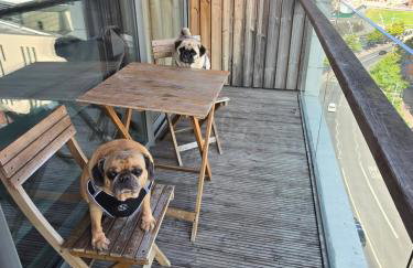 Benji & Milos Apartments - Photo 2