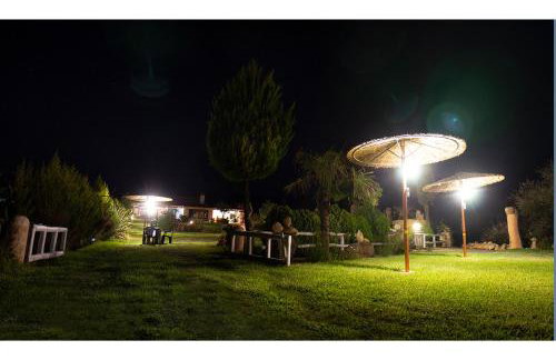 Medusa Gorgon - Photo 15