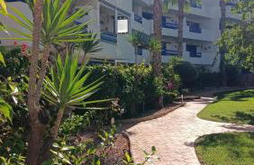 APARTMENT PALMAS DE COCO - Foto 39