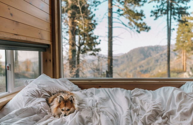 Postcard Cabins Big Bear, Outdoor Collection by Marriott Bonvoy - Foto 34