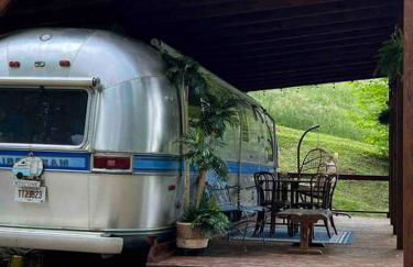 Airstream at a Petting Zoo w/ Hot Tub - Foto 11