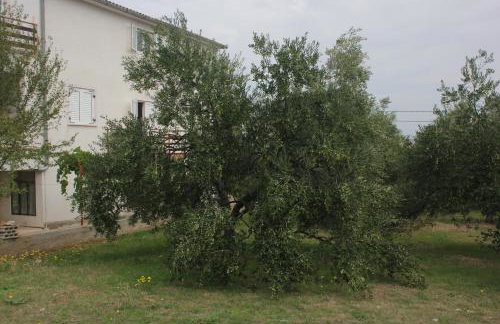 Apartments with parking space Kraj, Pasman - 8502 - Photo 9