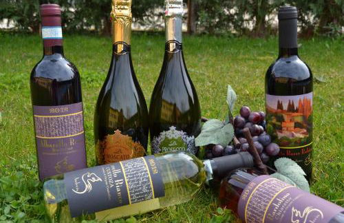 Agriturismo Colombarola - Foto 43