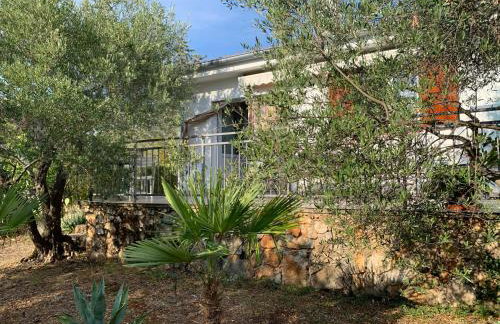 Apartman Ruža - Photo 39