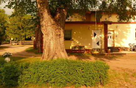 Ferienwohnung Nele - Foto 3