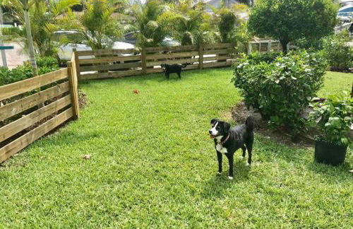 Sailfish Suites 1 - Waterfront & pet friendly - Foto 28