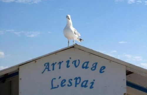 Maison Cosy à 500 m de la plage de la Couronne - Foto 39