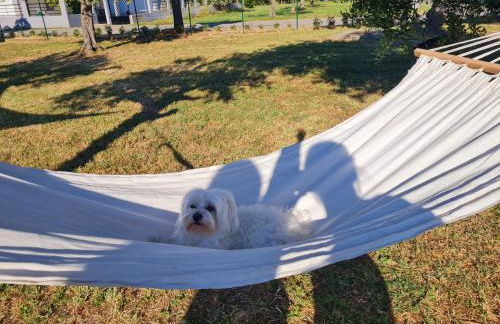 Casa Vacanza Il Giardino del Sole Treglio - Foto 10