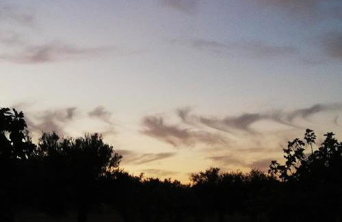 Burrico D`Orada - Rural Stays & Wine Country Tours - Foto 55