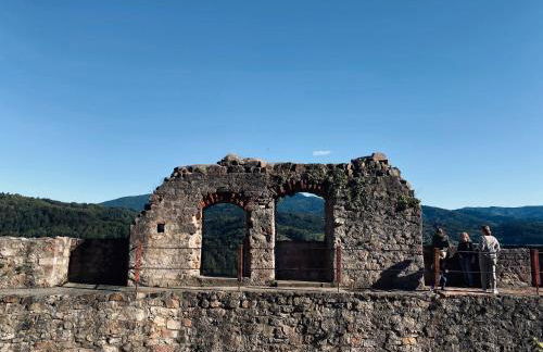 Hochburger 21 - Foto 13