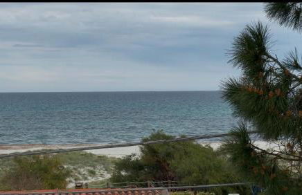 all ombra dei pini - Foto 27