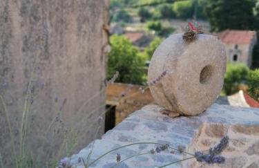 Villa Teza Hvar - Foto 16