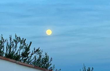 Casa Rubito el Olmo - Foto 23