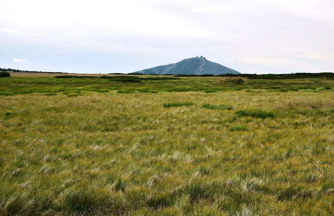 Apartment Near Ski Slopes - Photo 35