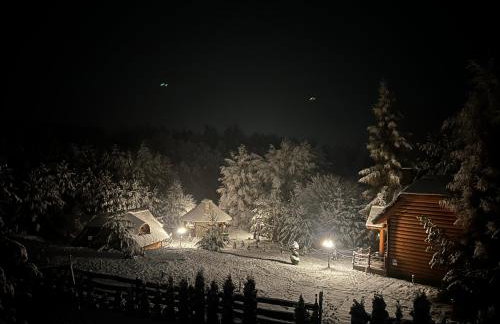 Pod Kogutem i Sową - Bio Wioska z domkami Premium w góralskim stylu VIP - Foto 18