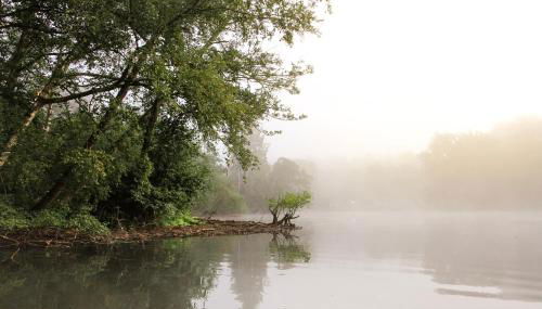 Gut Moorbeck - Foto 4