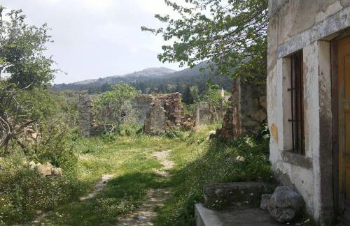 Renovated old traditional House - Photo 63