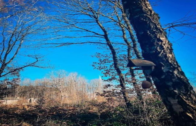 Chalet in Belgium With Stunning Views - Foto 38