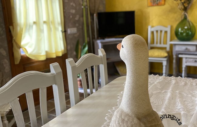 Lo Racó de Peret - Foto 70