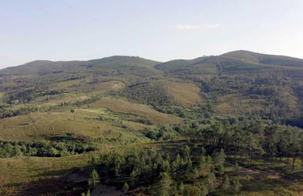 Natura Natura - Foto 42