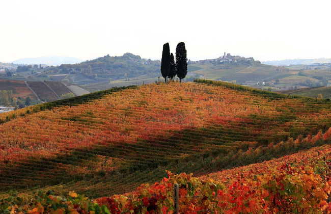 Cascina Tre Botti - Foto 40