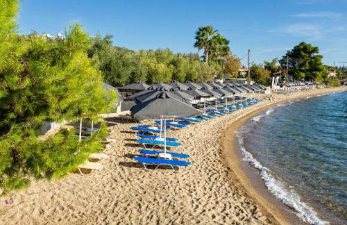 Paradisos Holiday - Foto 36