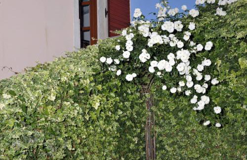 The House Aunt Regina - Foto 19