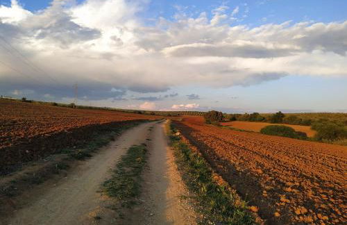 Casa Museo Quintín - Foto 24