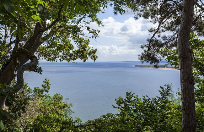 Porthole Log Cabin - Foto 15