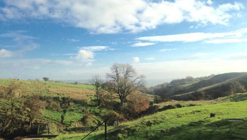 The End Place - Foto 4, Garden view