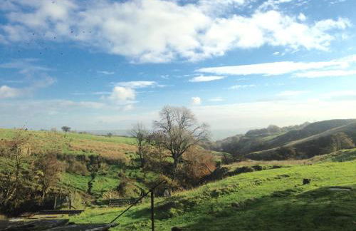 The End Place - Foto 4