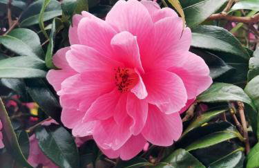 TheWeeHouseOnTheHill - Foto 30