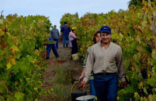 Quinta da Fata - Foto 43