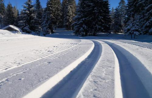 Magnifique appartement à la montagne classé 4 étoiles - Foto 14