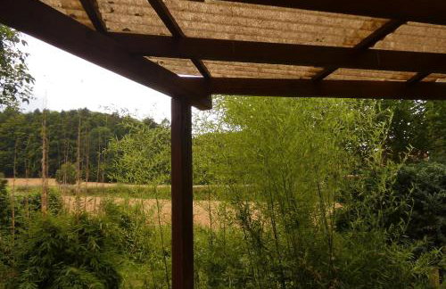 Weisses Huhn von Moschendorf - Photo 29