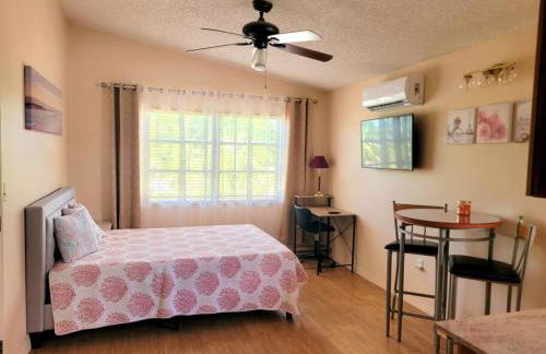 Comfy studio in Sarasota - Foto 1